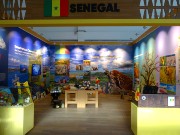 166  Senegal.JPG